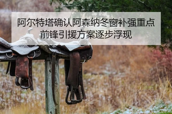阿尔特塔确认阿森纳冬窗补强重点 前锋引援方案逐步浮现