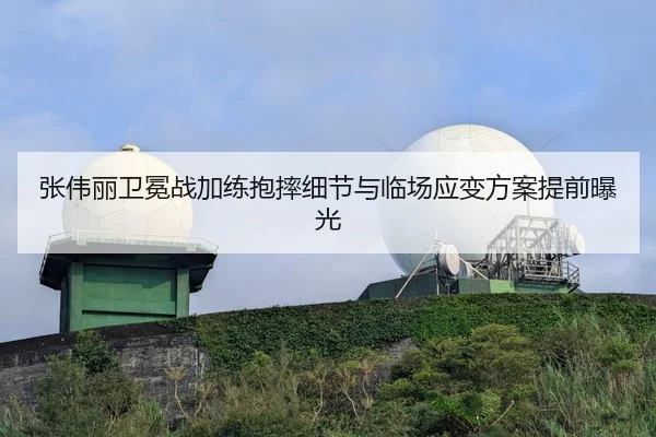 张伟丽卫冕战加练抱摔细节与临场应变方案提前曝光